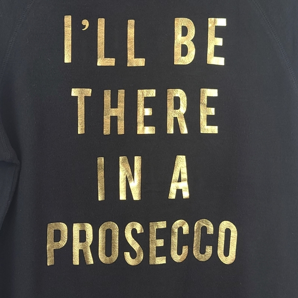 EUC ☆ Fifth Sun Prosecco Lightweight Crewneck Sweatshirt Small - Picture 4 of 7